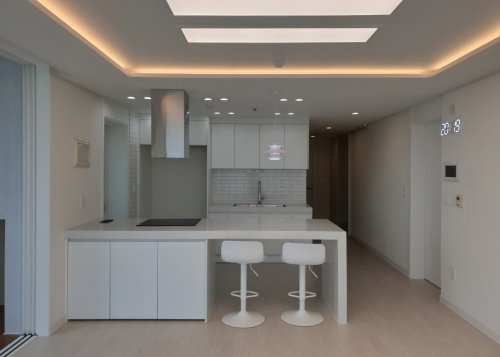 비브랜드 & PET & 하이막스