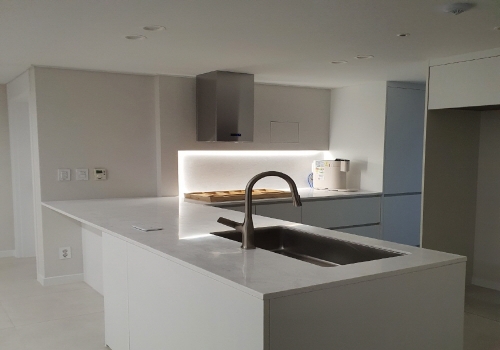 비브랜드 & PET & 오로라