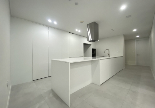 비브랜드 & PET & 오로라