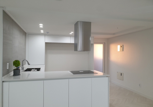 비브랜드 & PET & 하이막스