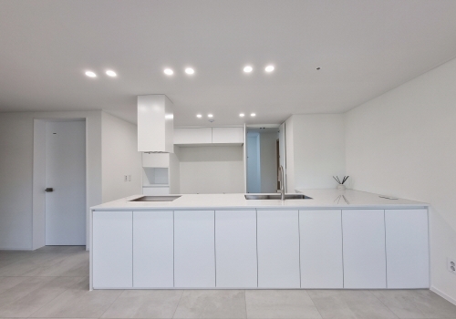 비브랜드&PET&오로라