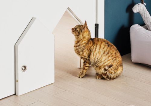 몰딩/도어(도어)