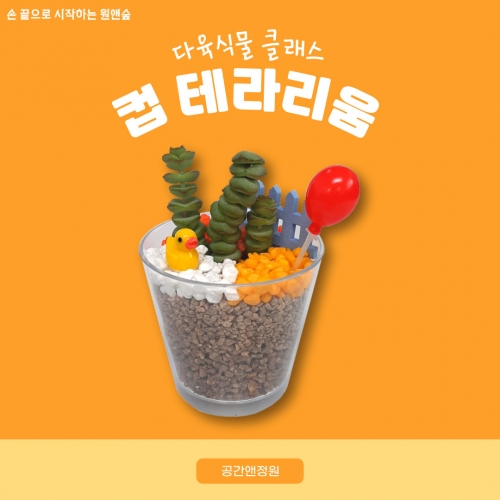 컵 테라리움