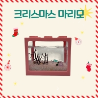 크리스마스 마리모