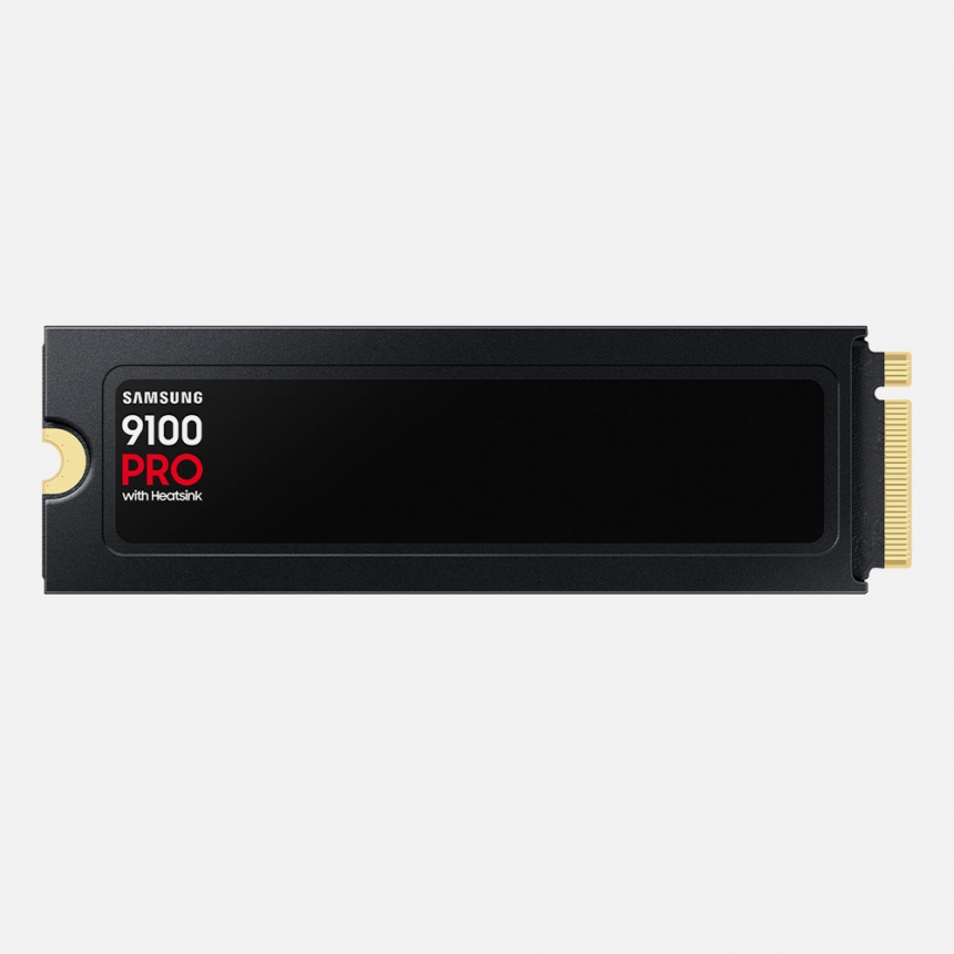 9100 PRO 히트싱크 NVMe M.2 SSD 2TB