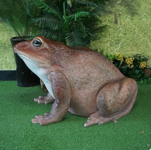 두꺼비