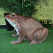 두꺼비
