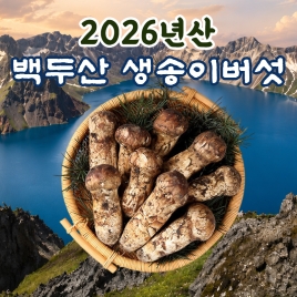 [가운트레이드] 제철맞은 백두산 생송이버섯