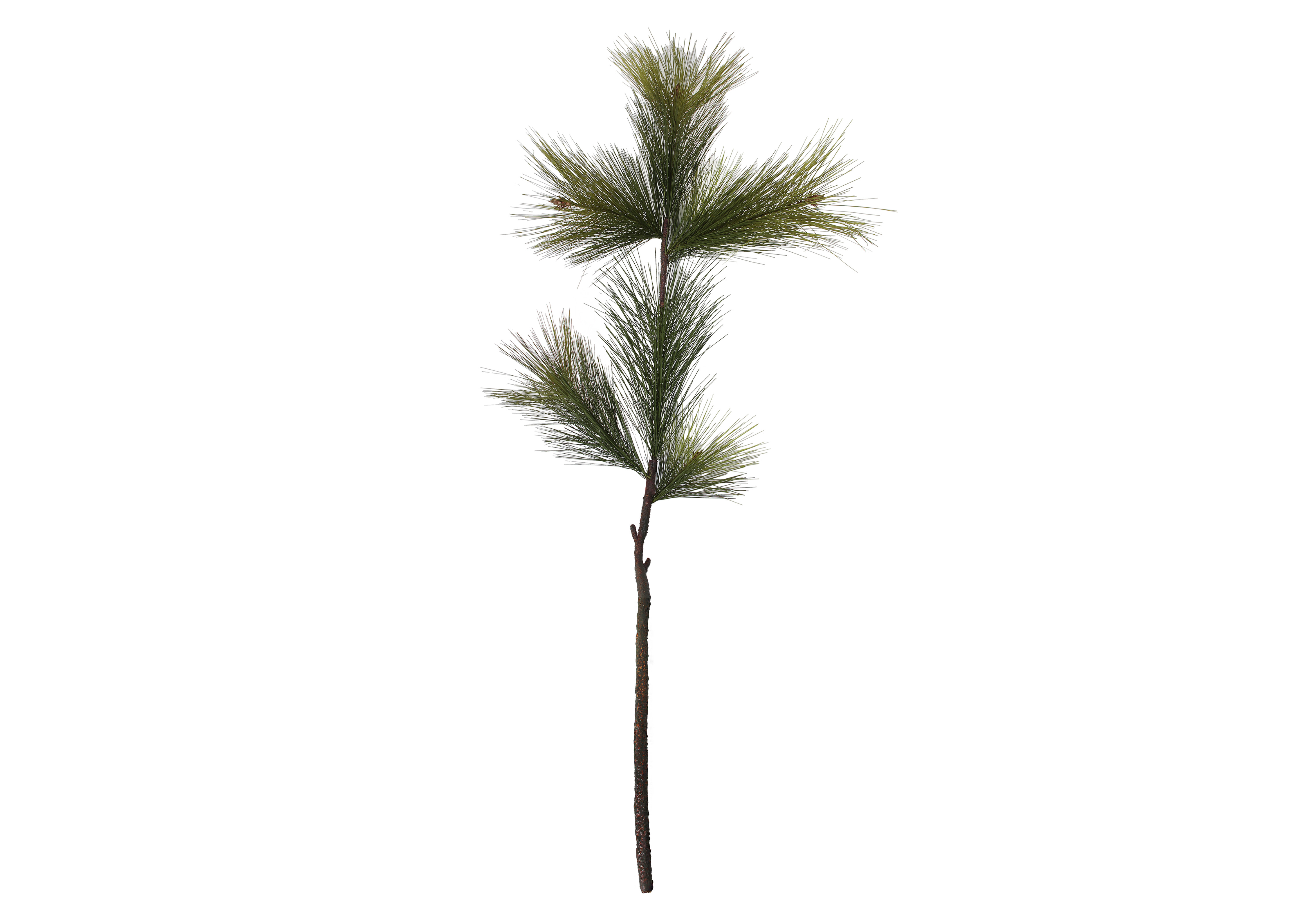 [GE] 솔가지(PINE) - 그린