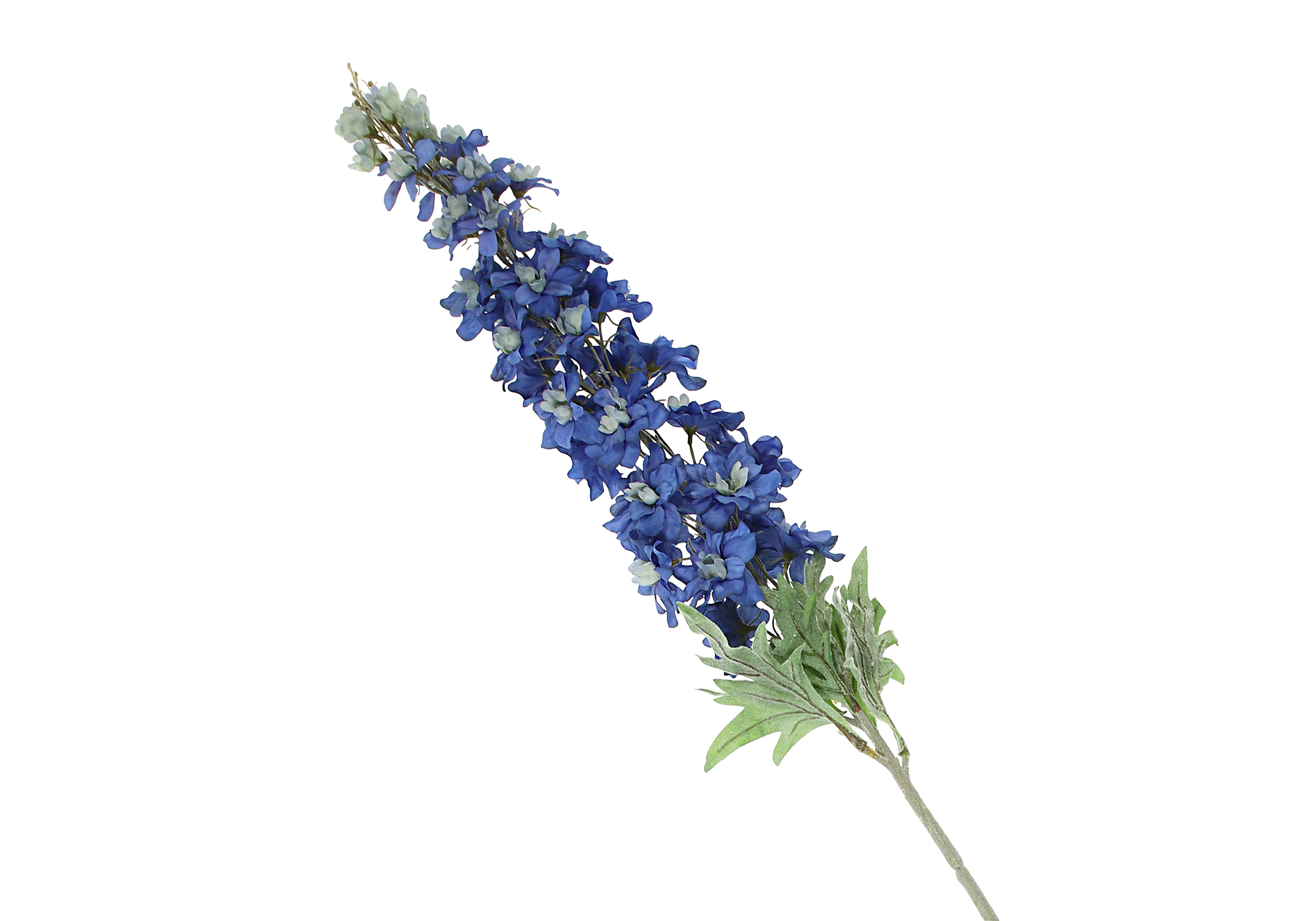 [FI] 델피니움 - 블루