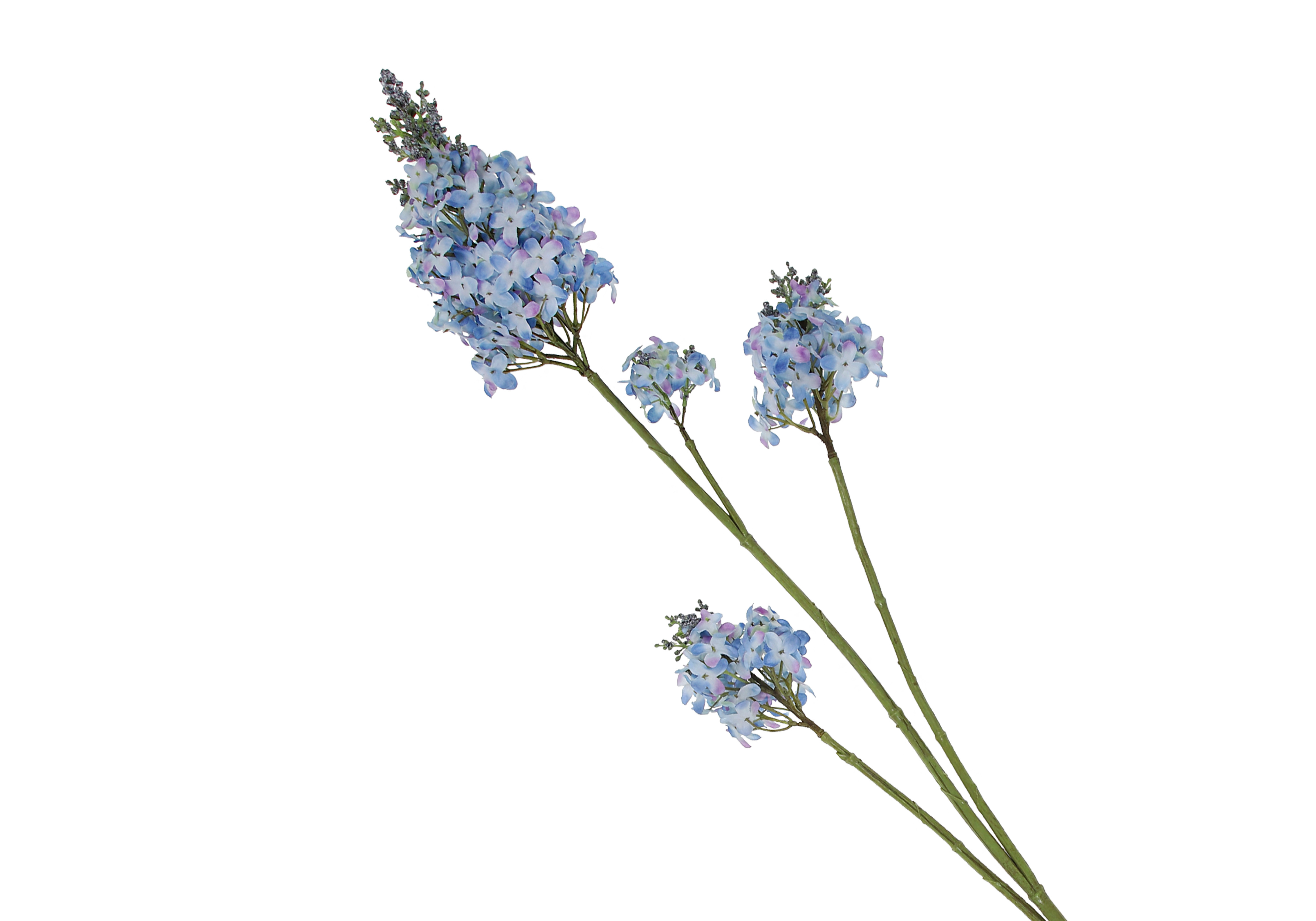 [FI] 라일락(LILAC) - 블루