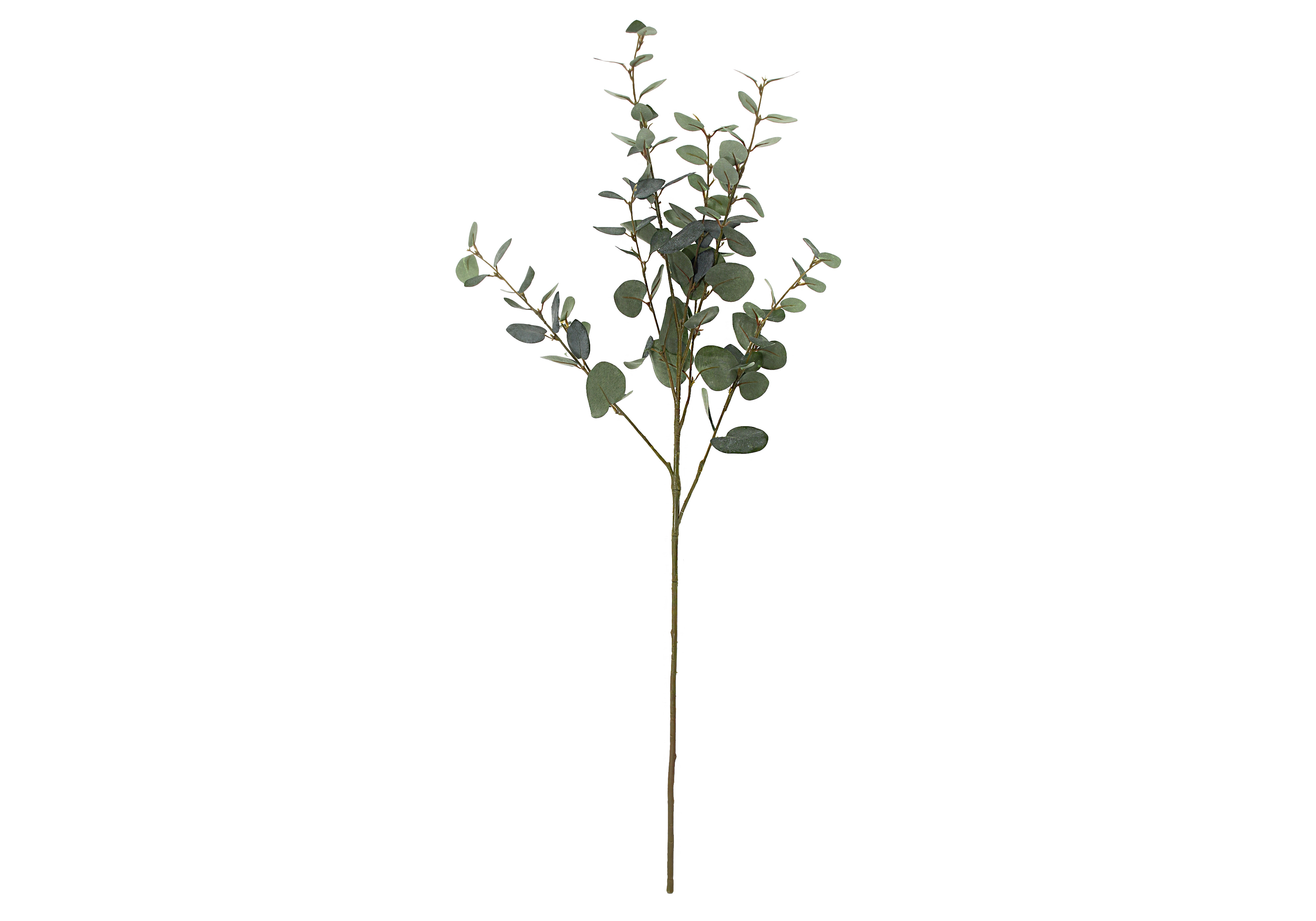 [FI] 유칼립투스(EUCALYPTUS) - 그린