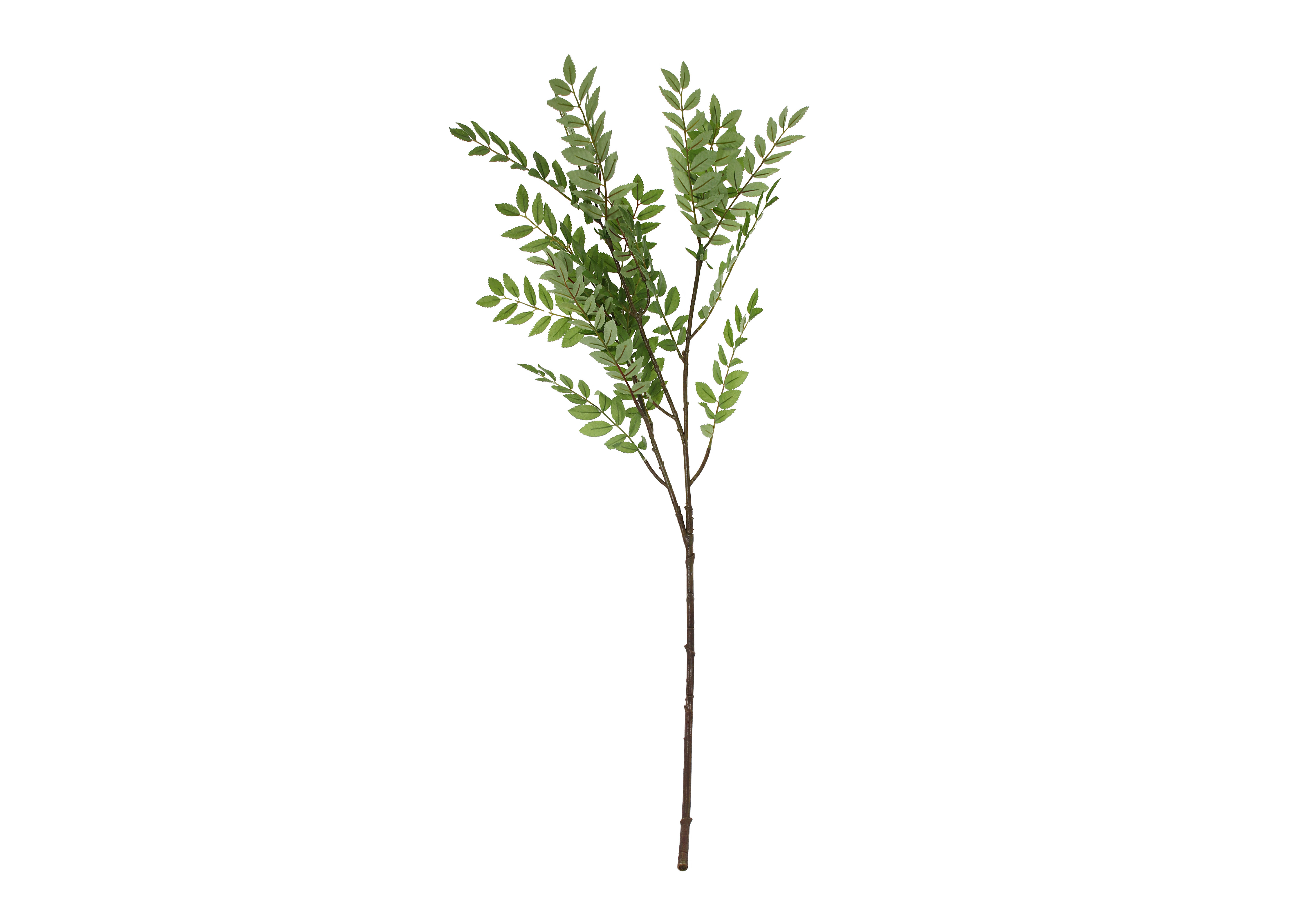 [FI] 마가목 잎(SORBUS LEAF) - 그린