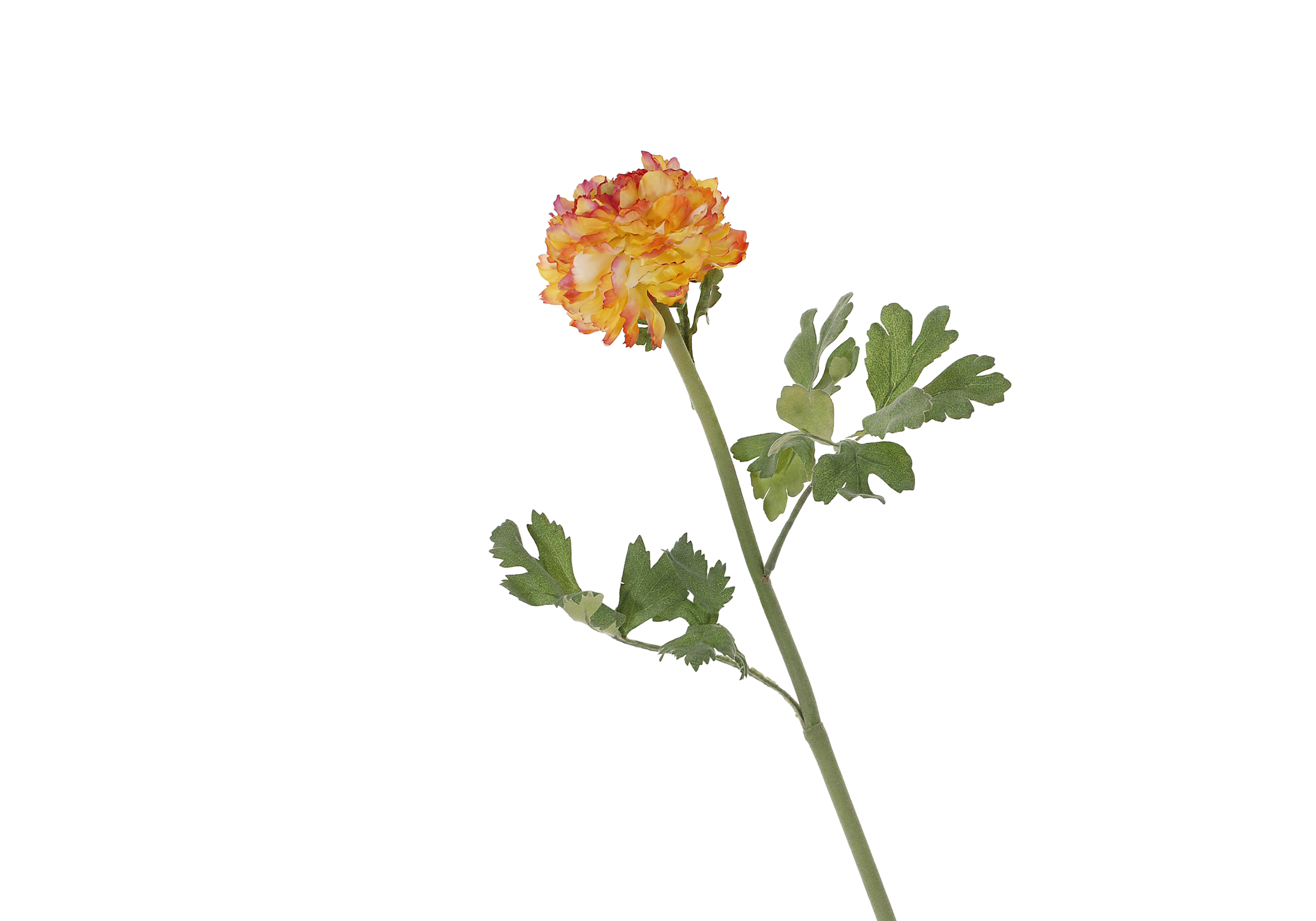 [GE] 라넌큘러스 - 옐로우 레드