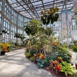 국립세종수목원