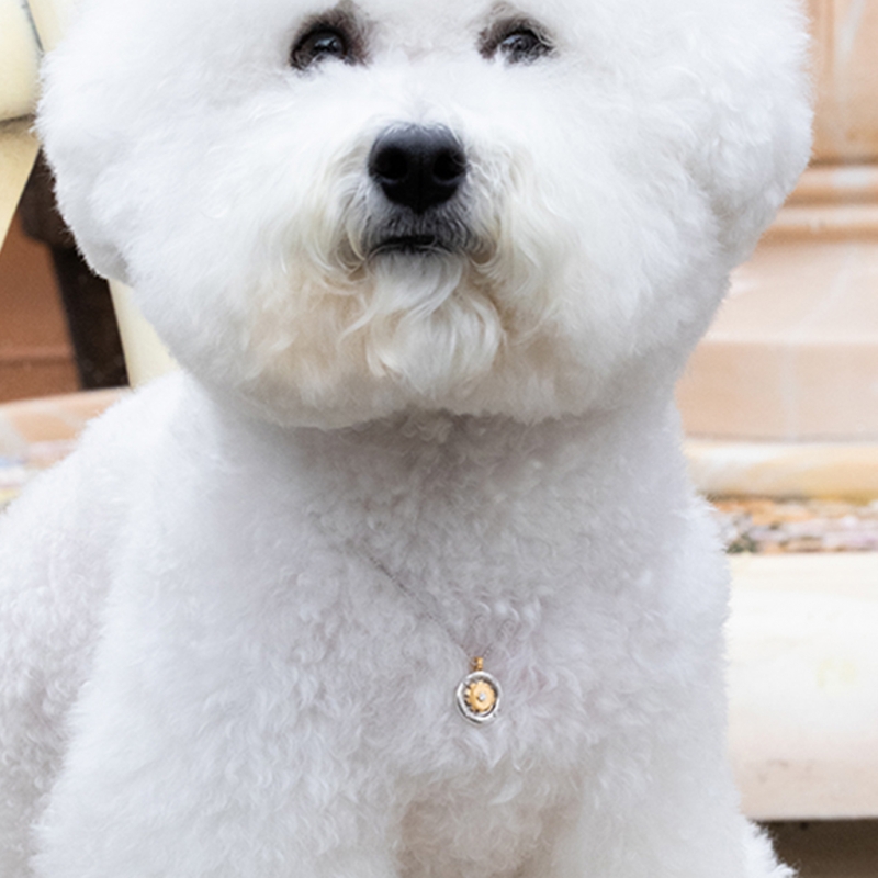 TIME SCREW COGWHEEL COIN PET NECKLACE