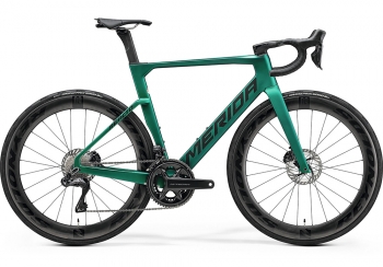 2025 리액토(REACTO) 8000 실크에버그린 (47, 50)