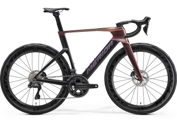 뉴 리액토(REACTO) 8000 (XS, XS, M)