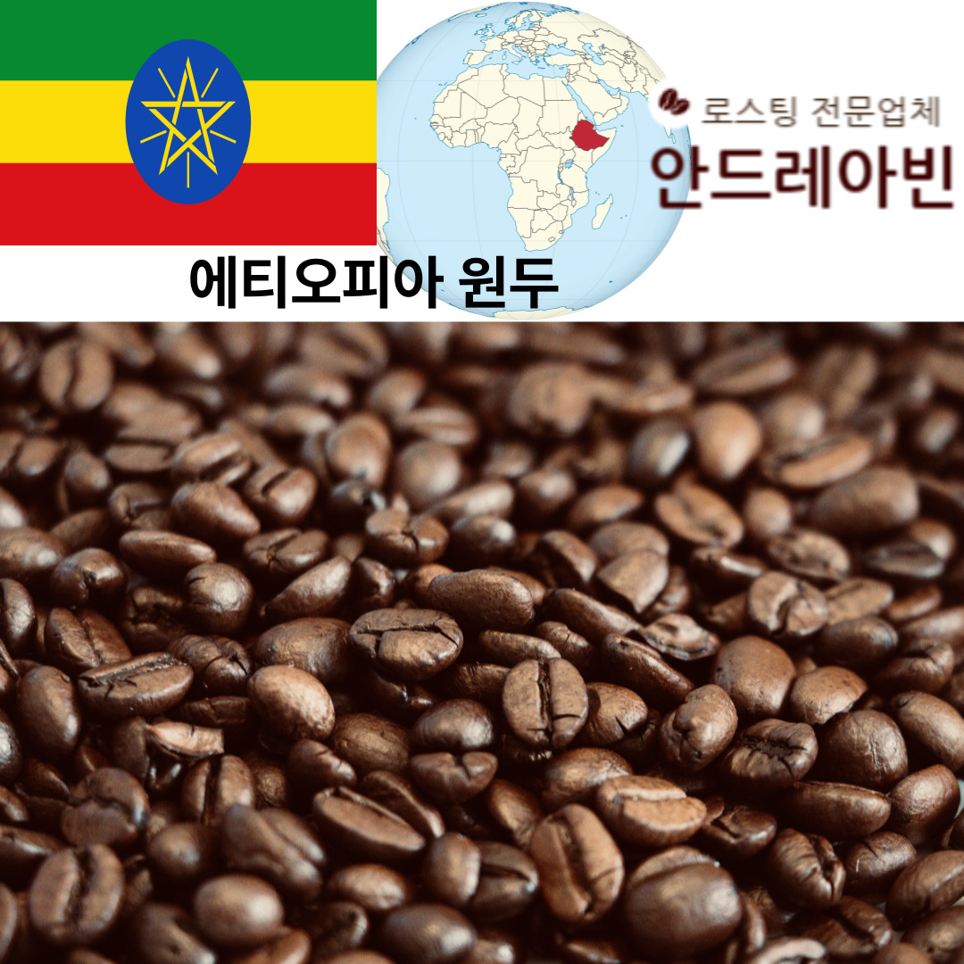 원두커피 에티오피아 예가체프 G2 워시드 신맛 신선한 로스팅