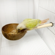 [50%할인] [03029] 친환경 코코넛 모이통