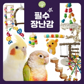 ★필수장난감 모음전★