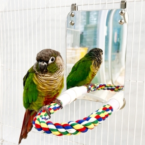 [03925] 횃대가 있는 거울