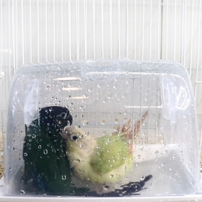 [2GR 438W] 외부/내부 모이통&middot;욕조