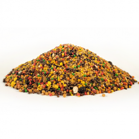 앵무새 필수 주식 사료 앵짱 500g