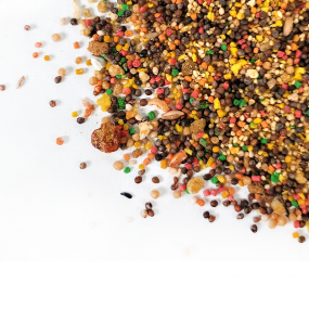 앵무새 필수 주식 사료 앵짱 500g