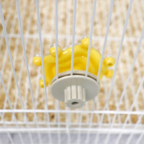 알쏭달쏭 구슬 장난감 [4가지 색상]