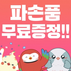 ★ 파손품 무료 증정 ★