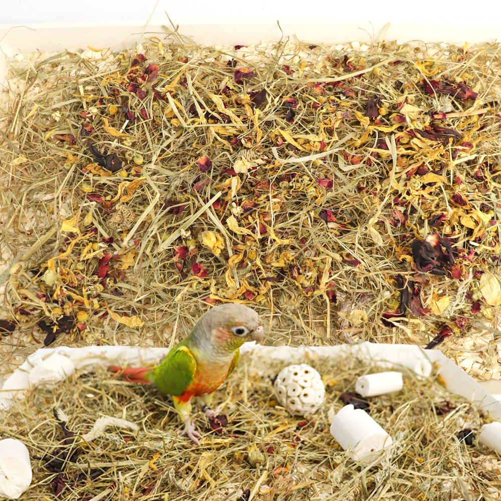 자연주의 천연 포레깅 150g  (오감 자극, 스트레스 해소, 두뇌 훈련)