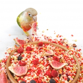 앵큐브 자연주의 동결건조 과과동 [10가지 과일 동결건조]