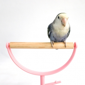 ❤ 핑크 하트 횃대 ❤