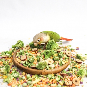 앵큐브 자연주의 동결건조 채채동 [10가지 채소 동결건조]