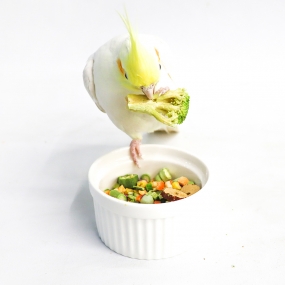 앵큐브 자연주의 동결건조 채채동 [10가지 채소 동결건조]