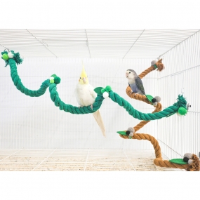 잭과 콩나무 횃대 (콩/나무)