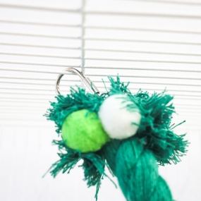 잭과 콩나무 횃대 (콩/나무)