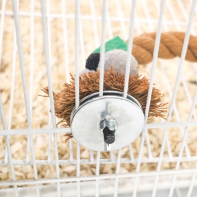 잭과 콩나무 횃대 (콩/나무)