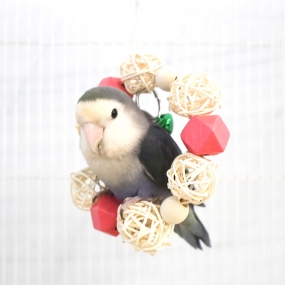 딸랑 등나무 도넛