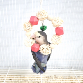 딸랑 등나무 도넛