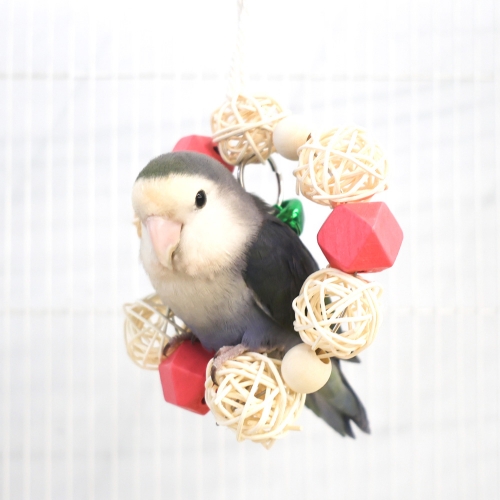 딸랑 등나무 도넛