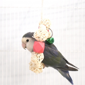 딸랑 등나무 도넛