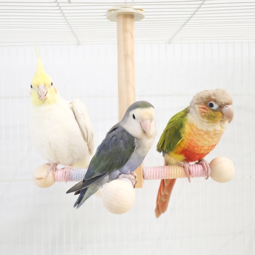 파스텔 원목 스윙 그네