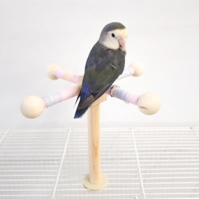 파스텔 원목 스윙 그네