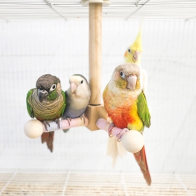 파스텔 원목 스윙 그네