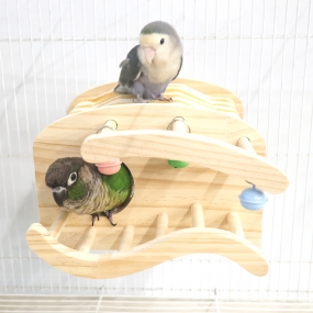 자연주의 미니 하우스  (사랑,모란,왕관,코뉴어,퀘이커)