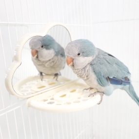 뭉게뭉게 구름 거울 (그린 / 화이트)