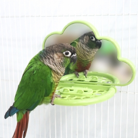 뭉게뭉게 구름 거울 (그린 / 화이트)