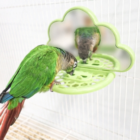 뭉게뭉게 구름 거울 (그린 / 화이트)